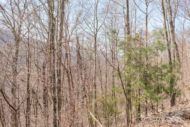 LOT13 Austin Mountain Dr Unit 13/3, Burnsville, NC 21714 - photo 9