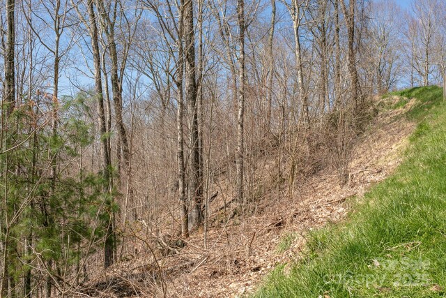 LOT13 Austin Mountain Dr Unit 13/3, Burnsville, NC 21714 - photo 10