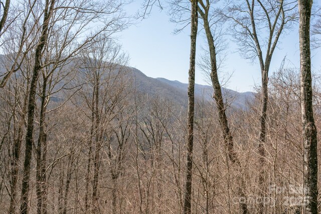 LOT13 Austin Mountain Dr Unit 13/3, Burnsville, NC 21714 - photo 11