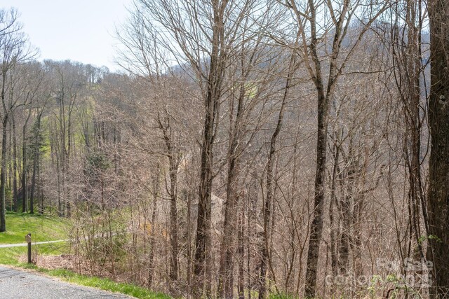 LOT13 Austin Mountain Dr Unit 13/3, Burnsville, NC 21714 - photo 13