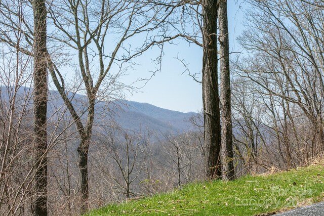 LOT13 Austin Mountain Dr Unit 13/3, Burnsville, NC 21714 - photo 16