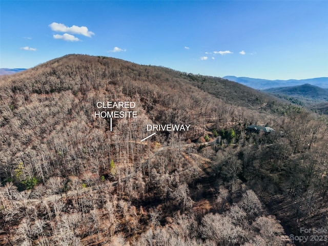 64 Flora Rose Trl Unit 6B, Asheville NC, 28803 land for sale