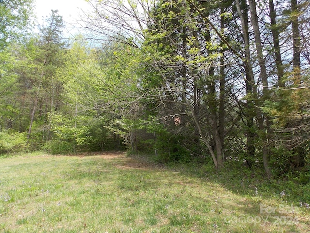 view of local wilderness