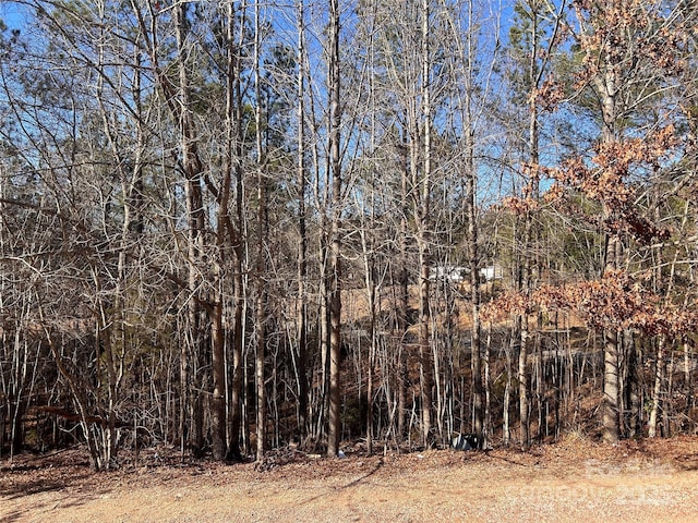 117 Gloria Trl Unit 27, Columbia, SC 29203 - photo 19