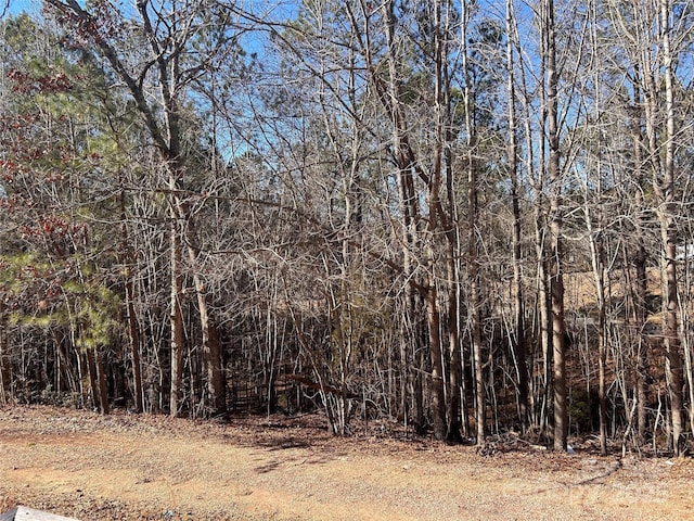 117 Gloria Trl Unit 27, Columbia, SC 29203 - photo 20
