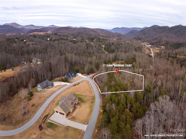 17 Sunny Morning Ct, Hendersonville NC, 28792 land for sale