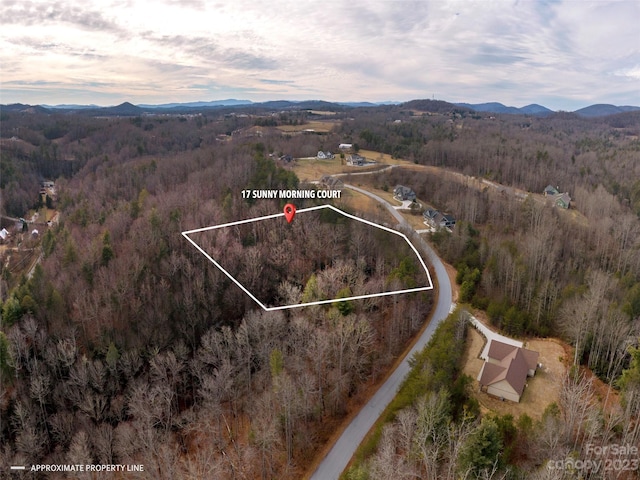 Listing photo 3 for 17 Sunny Morning Ct, Hendersonville NC 28792