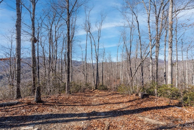 Listing photo 3 for 35 Lower Sand Branch Rd, Black Mountain NC 28711