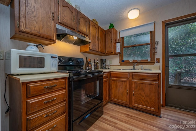 kitchen featuring light wood-type flooring, black range with electric stovetop, and sink