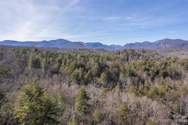 view of mountain view