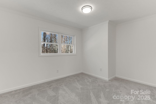 carpeted empty room with ornamental molding