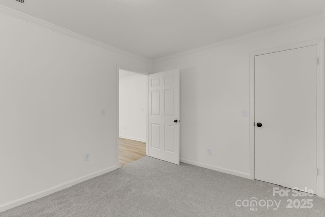 empty room featuring light carpet and ornamental molding