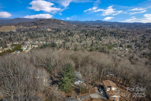 drone / aerial view featuring a mountain view