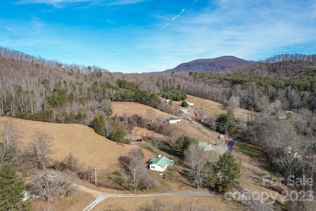 aerial view with a mountain view