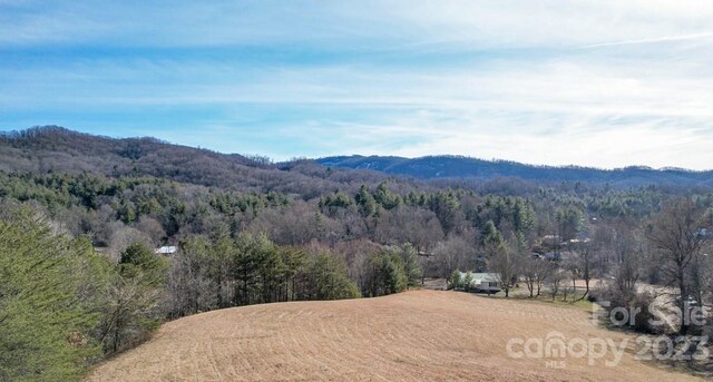 view of property view of mountains