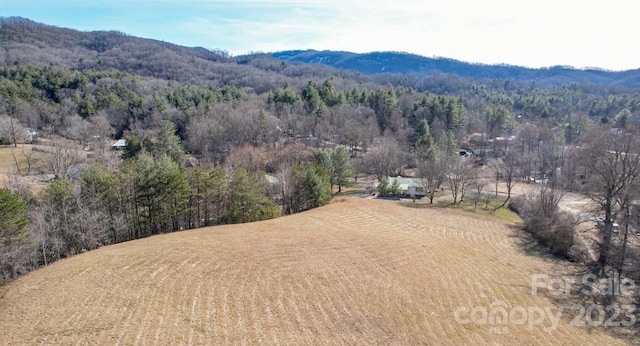 property view of mountains with a rural view