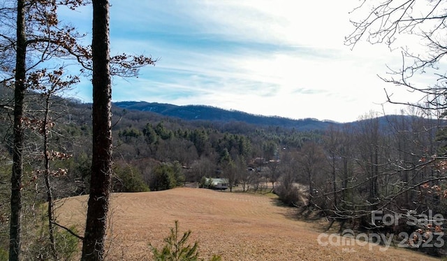 view of mountain view