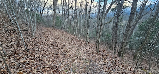 LOT9 Seay Mountain Rd, Waynesville, NC 28785