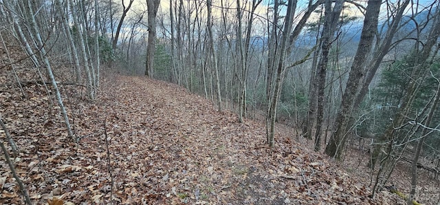 LOT9 Seay Mountain Rd, Waynesville NC, 28785 land for sale