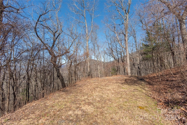 Listing photo 3 for 96 Castanea Mountain Dr, Asheville NC 28803