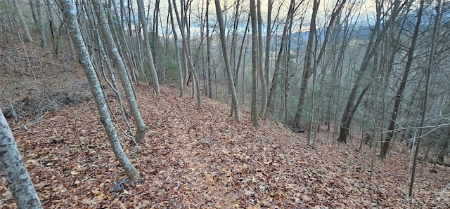 Listing photo 2 for LOT10 Seay Mountain Rd, Waynesville NC 28785