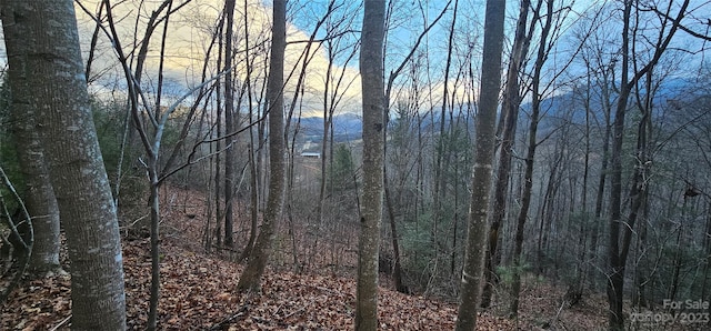 LOT10 Seay Mountain Rd, Waynesville NC, 28785 land for sale