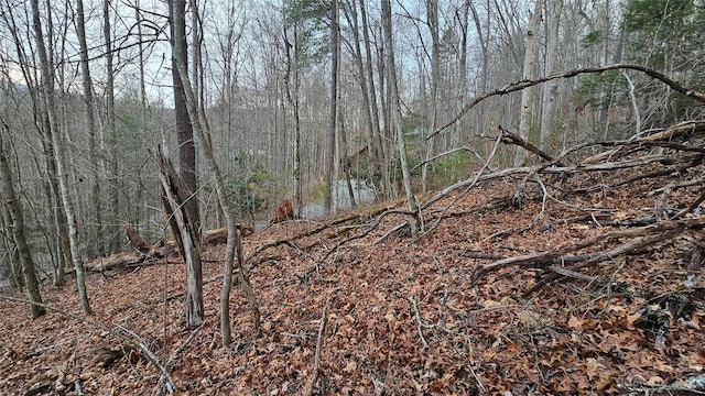 Listing photo 2 for LOT13 Seay Mountain Rd, Waynesville NC 28785