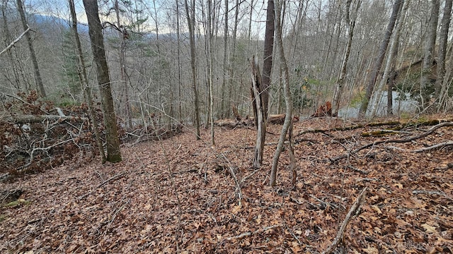 Listing photo 3 for LOT13 Seay Mountain Rd, Waynesville NC 28785