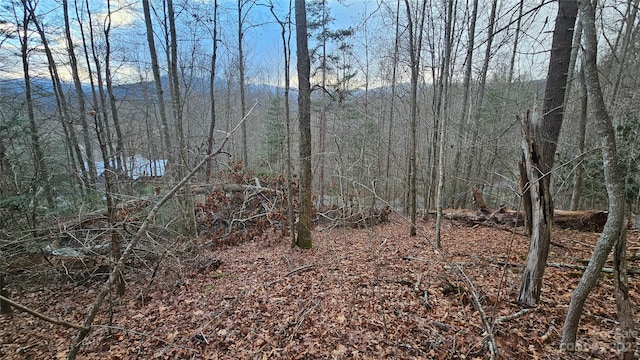 LOT13 Seay Mountain Rd, Waynesville NC, 28785 land for sale