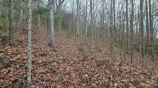 Listing photo 3 for LOT14 Seay Mountain Rd, Waynesville NC 28785