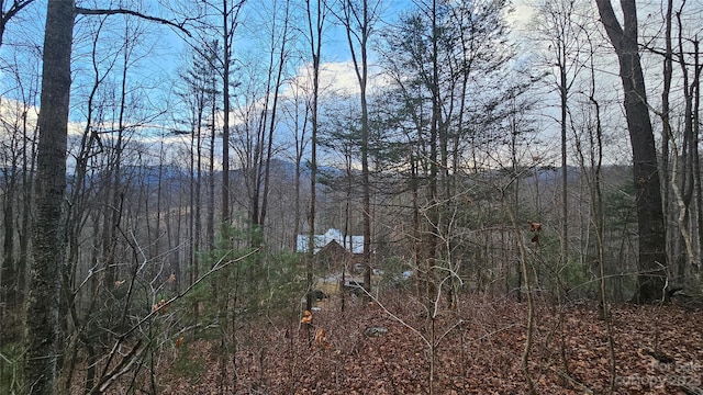 LOT14 Seay Mountain Rd, Waynesville NC, 28785 land for sale