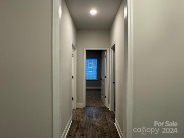 hallway featuring dark wood-type flooring