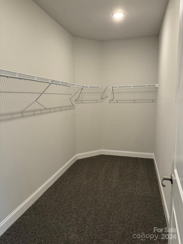 walk in closet featuring carpet floors