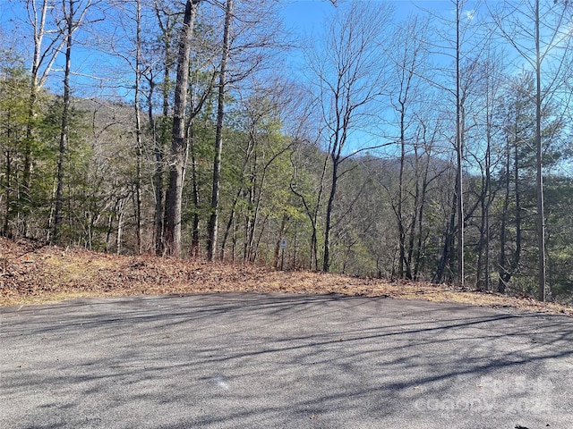 LOT110 Laurel Rdg, Marshall NC, 28754 land for sale