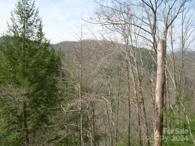 Listing photo 2 for LOT110 Laurel Rdg, Marshall NC 28754