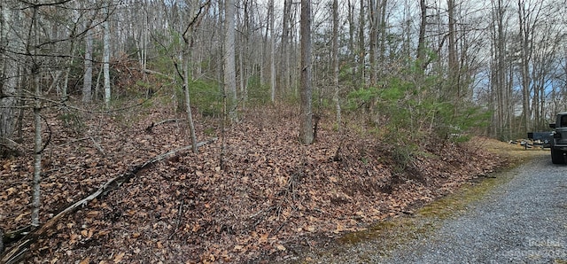 Listing photo 2 for 4LOTS Seay Mountain Rd, Waynesville NC 28785