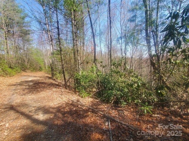 TBD Falcon Ridge Trl Lot 227, West Jefferson, NC 28694 - photo 1