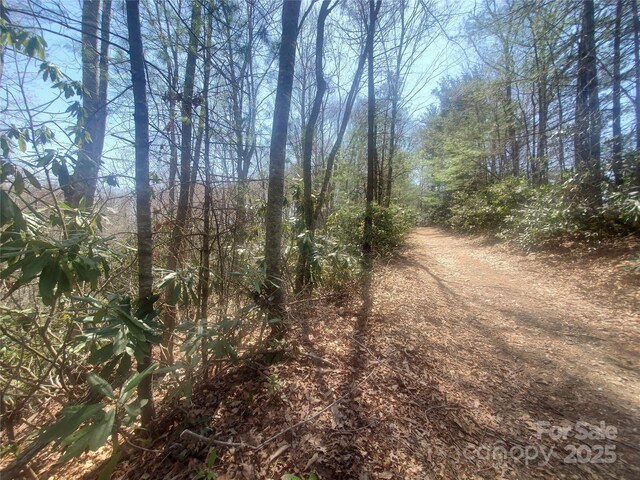 TBD Falcon Ridge Trl Lot 227, West Jefferson, NC 28694 - photo 2