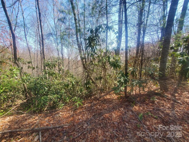 TBD Falcon Ridge Trl Lot 227, West Jefferson, NC 28694 - photo 3