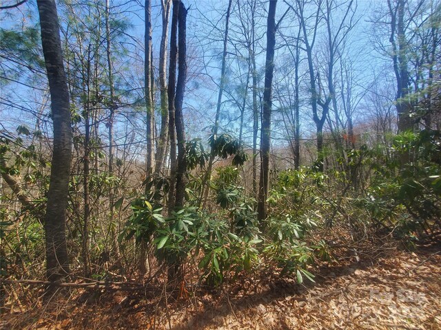 TBD Falcon Ridge Trl Lot 227, West Jefferson, NC 28694 - photo 6