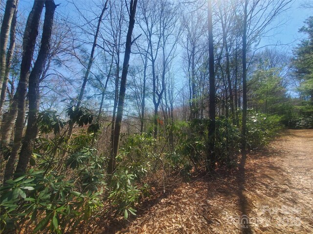 TBD Falcon Ridge Trl Lot 227, West Jefferson, NC 28694 - photo 7