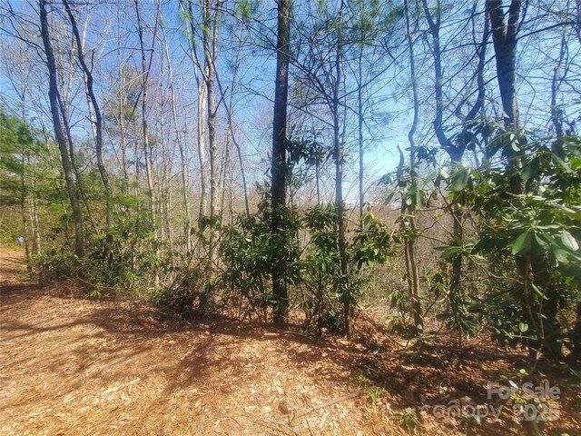 TBD Falcon Ridge Trl Lot 227, West Jefferson, NC 28694 - photo 8