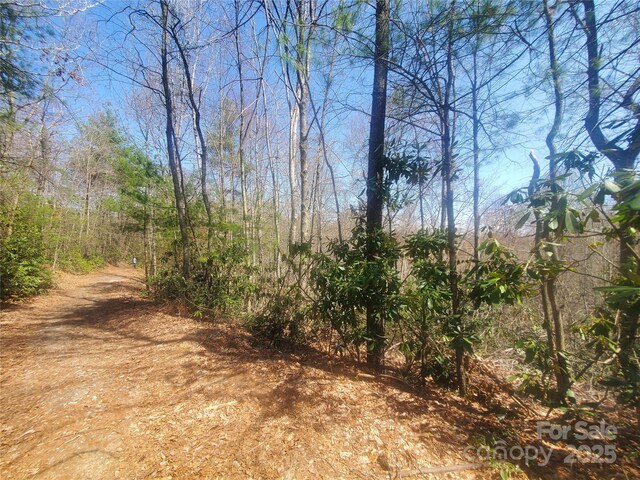 TBD Falcon Ridge Trl Lot 227, West Jefferson, NC 28694 - photo 9