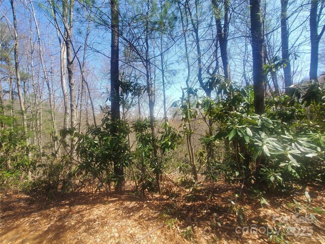 TBD Falcon Ridge Trl Lot 227, West Jefferson, NC 28694 - photo 11