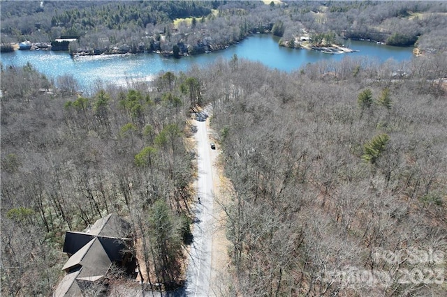 U19L053 Gawanv Ct, Brevard NC, 28712 land for sale