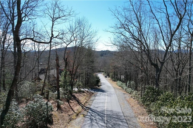 Listing photo 2 for U19L053 Gawanv Ct, Brevard NC 28712