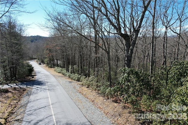 Listing photo 3 for U19L053 Gawanv Ct, Brevard NC 28712