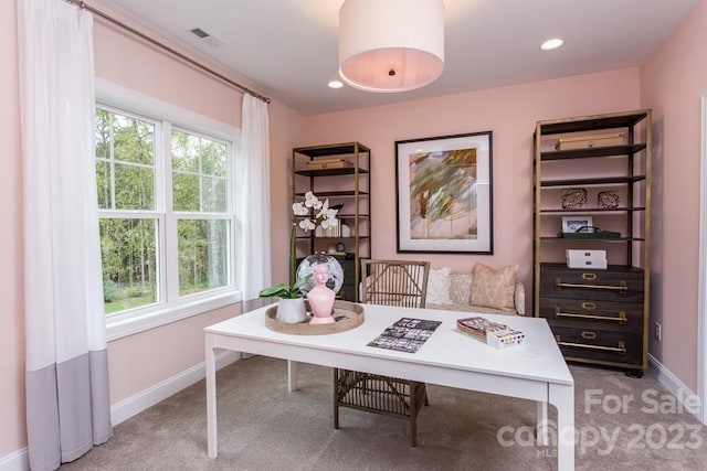 carpeted office with a wealth of natural light