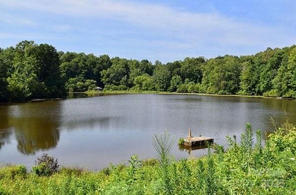 water view featuring a boat dock