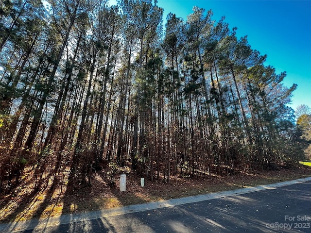 Listing photo 3 for 129 Sleepy Cove Trl Unit 5, Mooresville NC 28117